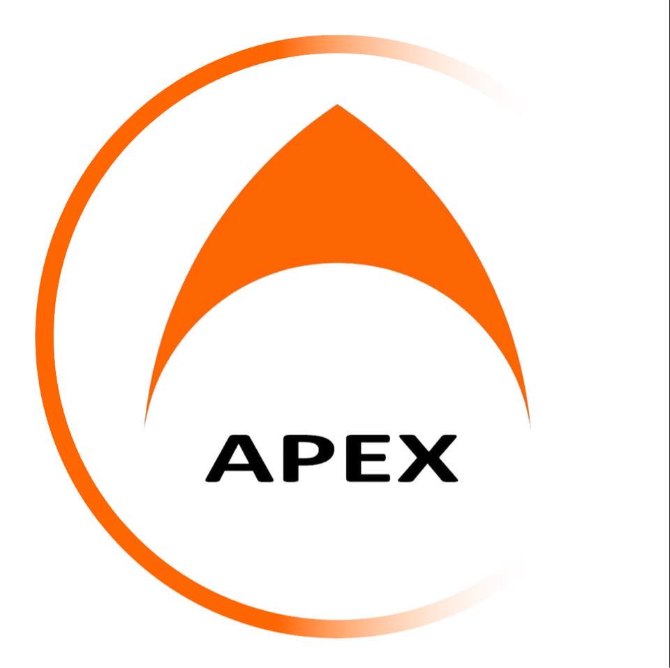 Apex logo
